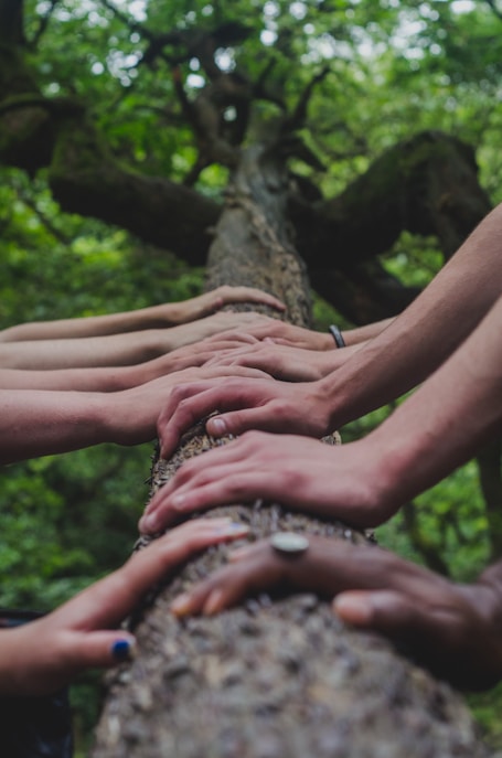 Nature community